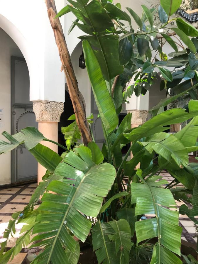 Riad Sahara Nour Marrakesh Luaran gambar